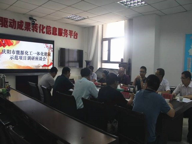 庆阳市能源化工创新共同体建设领导小组关于实施庆阳市能源化工创新共同体建设项目（1）